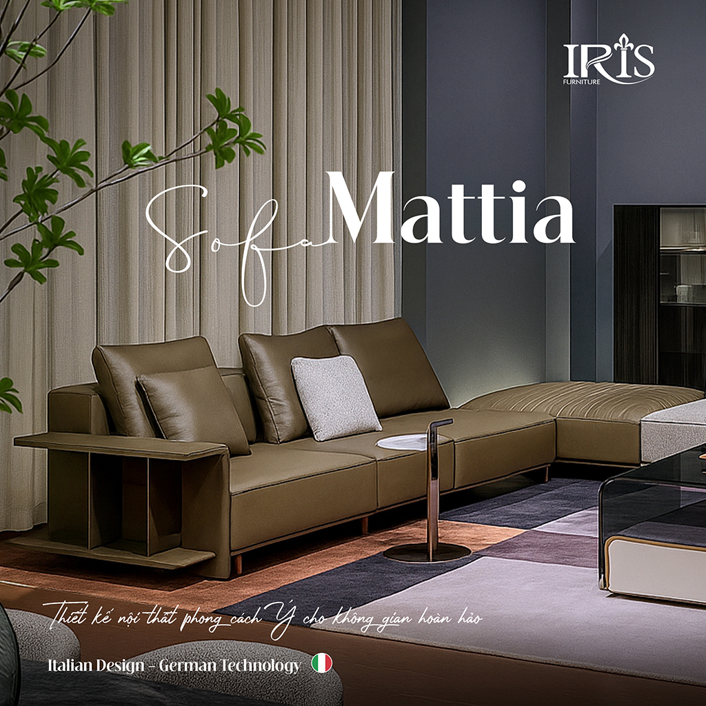 Ghế phù hợp với biệt thự, penthouse, phòng chủ tịch, phòng khách sạn,...