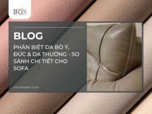 Mẹo phân biệt da bò ý đức thường khi chọn mua sofa