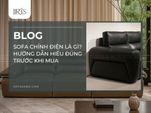 Cùng tìm hiều về sofa chỉnh điện là gì qua bài viết sau